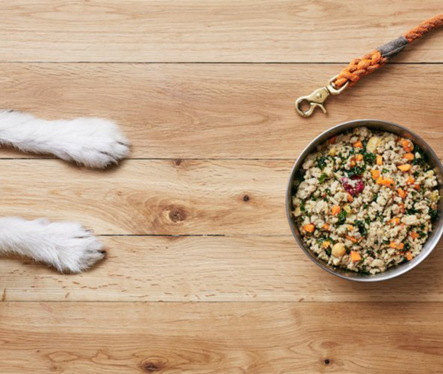 The Farmer's Dog: Marty's Favorite Things