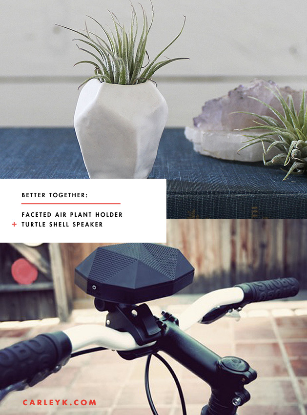 Better Together: Faceted Air Planter and Turtle Shell Speaker