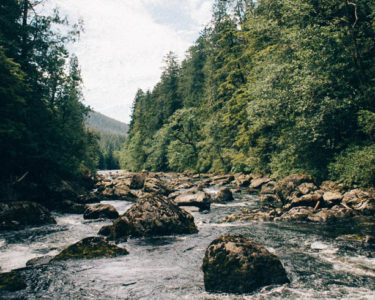 cyberstalking kids camp