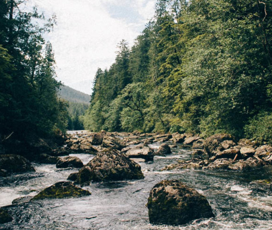 cyberstalking kids camp