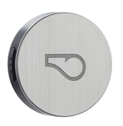 Whistle Activity Monitor for Dogs