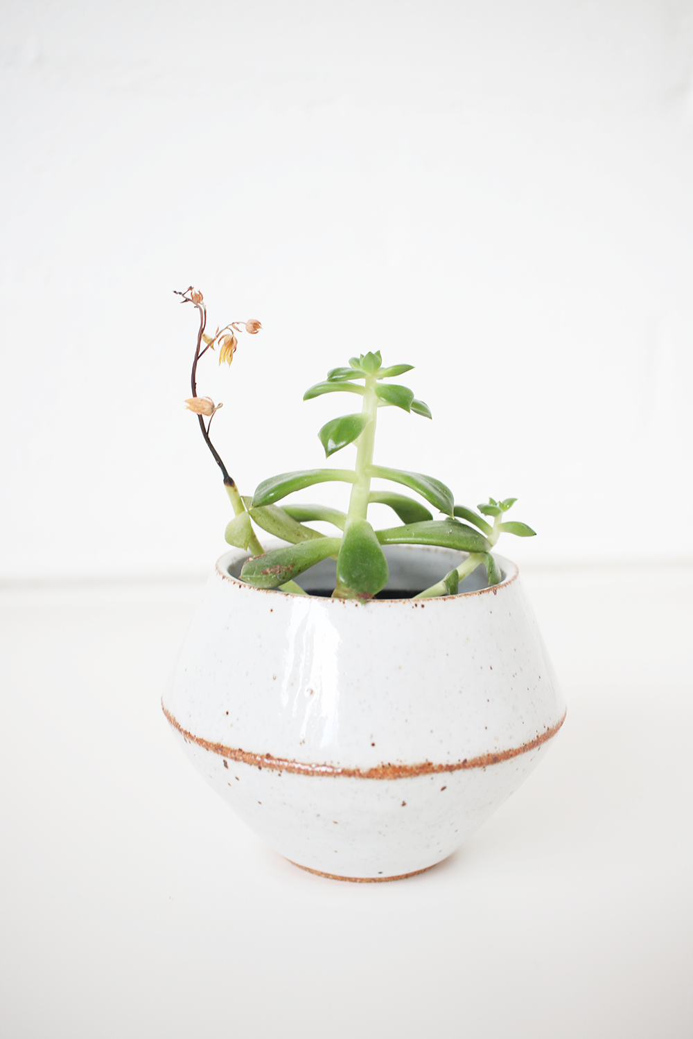 Fine Life Co Angle Planter