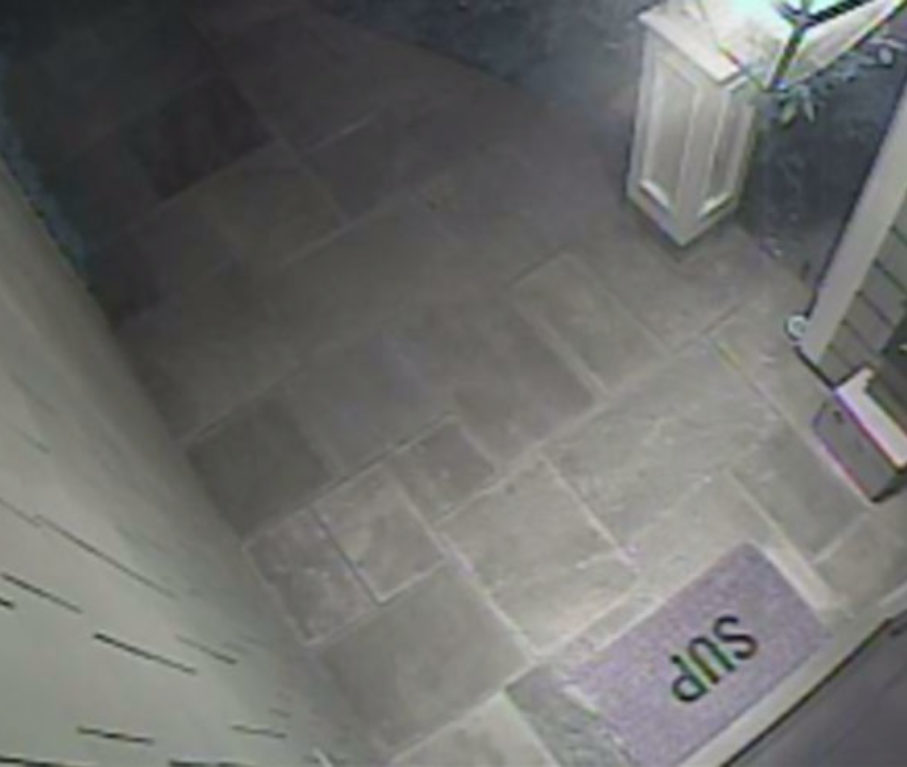 package theft