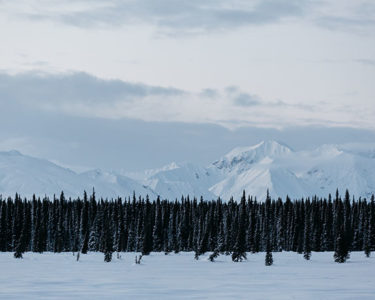 Beautiful Weather Apps