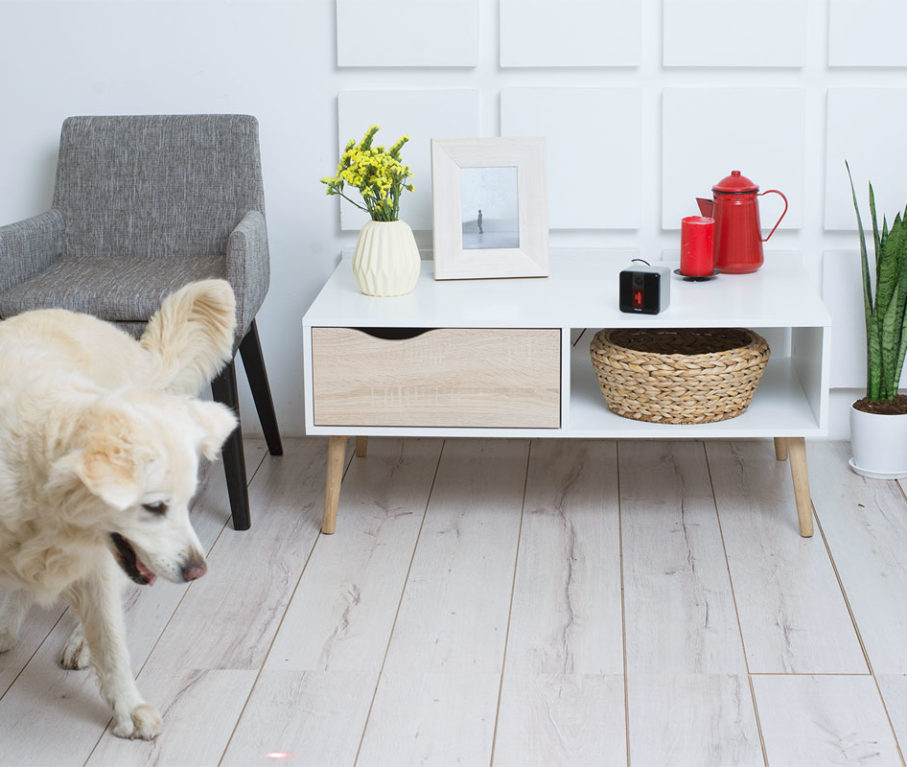 PetCube Play: Pet Tech