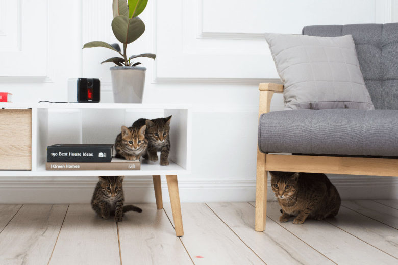 Pet Cube: Pet Tech