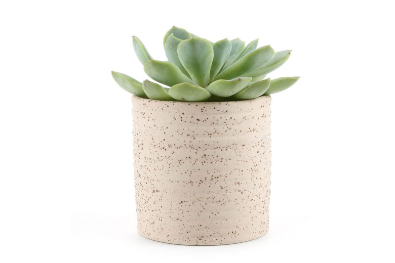 Amazon Interesting Finds