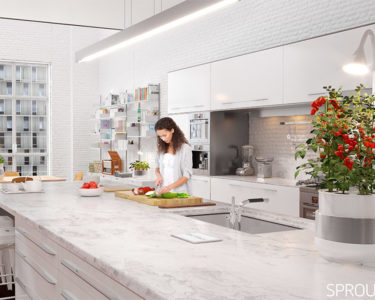 Sprouts International Housewares Show