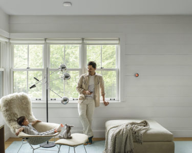 energy efficient home: Nest Learning Thermostat