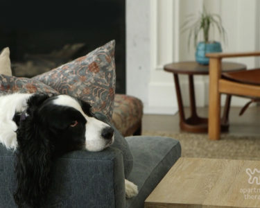 Keeping your family safe: Apartment Therapy