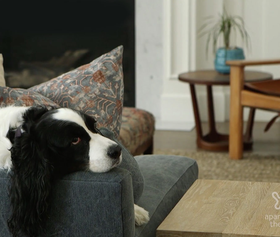 Keeping your family safe: Apartment Therapy