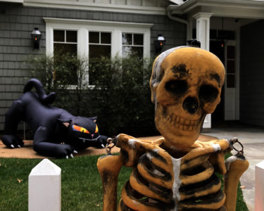 Halloween— Life 360
