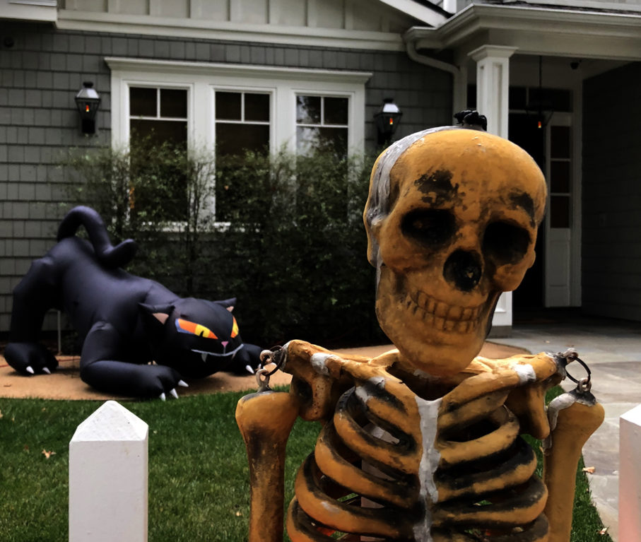 Halloween— Life 360