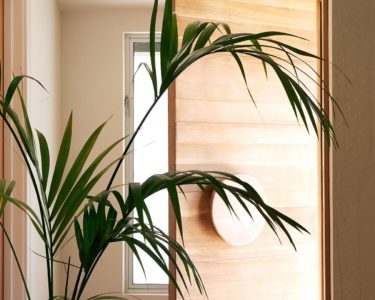 In-Home Delivery : Rue Magazine