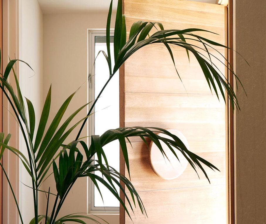 In-Home Delivery : Rue Magazine