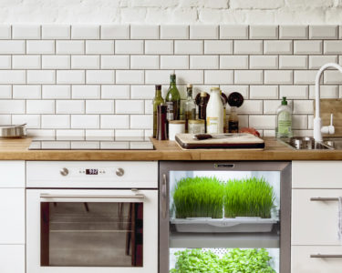 Urban Cultivator: Herbs at Home