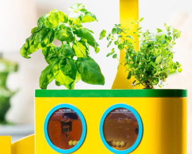 Kids Gadgets: Aerogarden Herbie