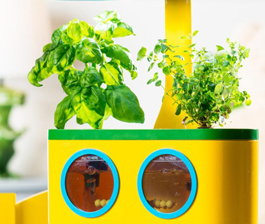 Kids Gadgets: Aerogarden Herbie