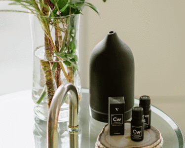 Vitruvi Diffuser: Wellness Gifts