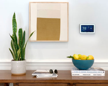 flu season: Trane Residential