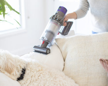 Healthy Hoe Hacks: Cleaning Dyson V10