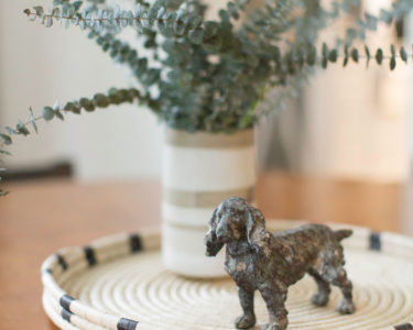 spring cleaning your home