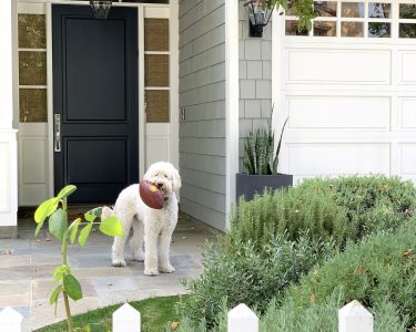 Liftmaster myQ-Connected Smart Garage Door Opener