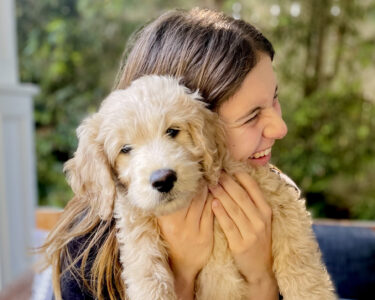 Chip and Annie: Tracking the people and things you love